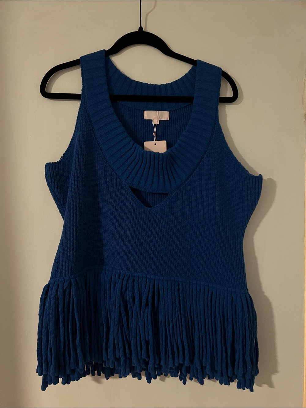 Niyah Tank Top - Hanifa - Blue Knit Fringe Sleeveless Sweater Vest